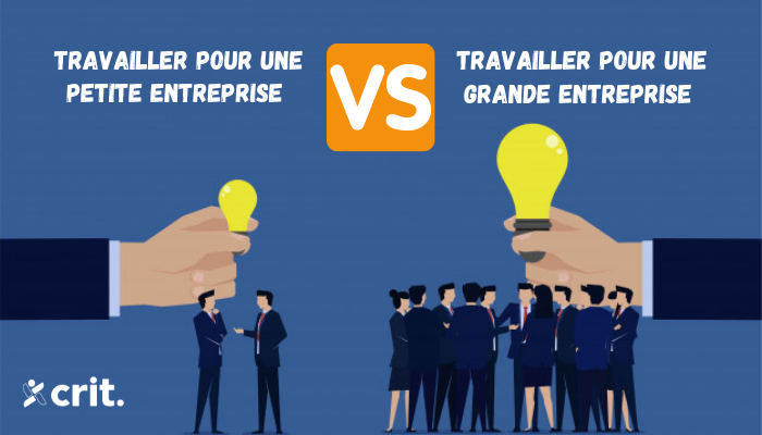 1-travailler-pour-une-grande-entreprise-ou-une-petite-entrep